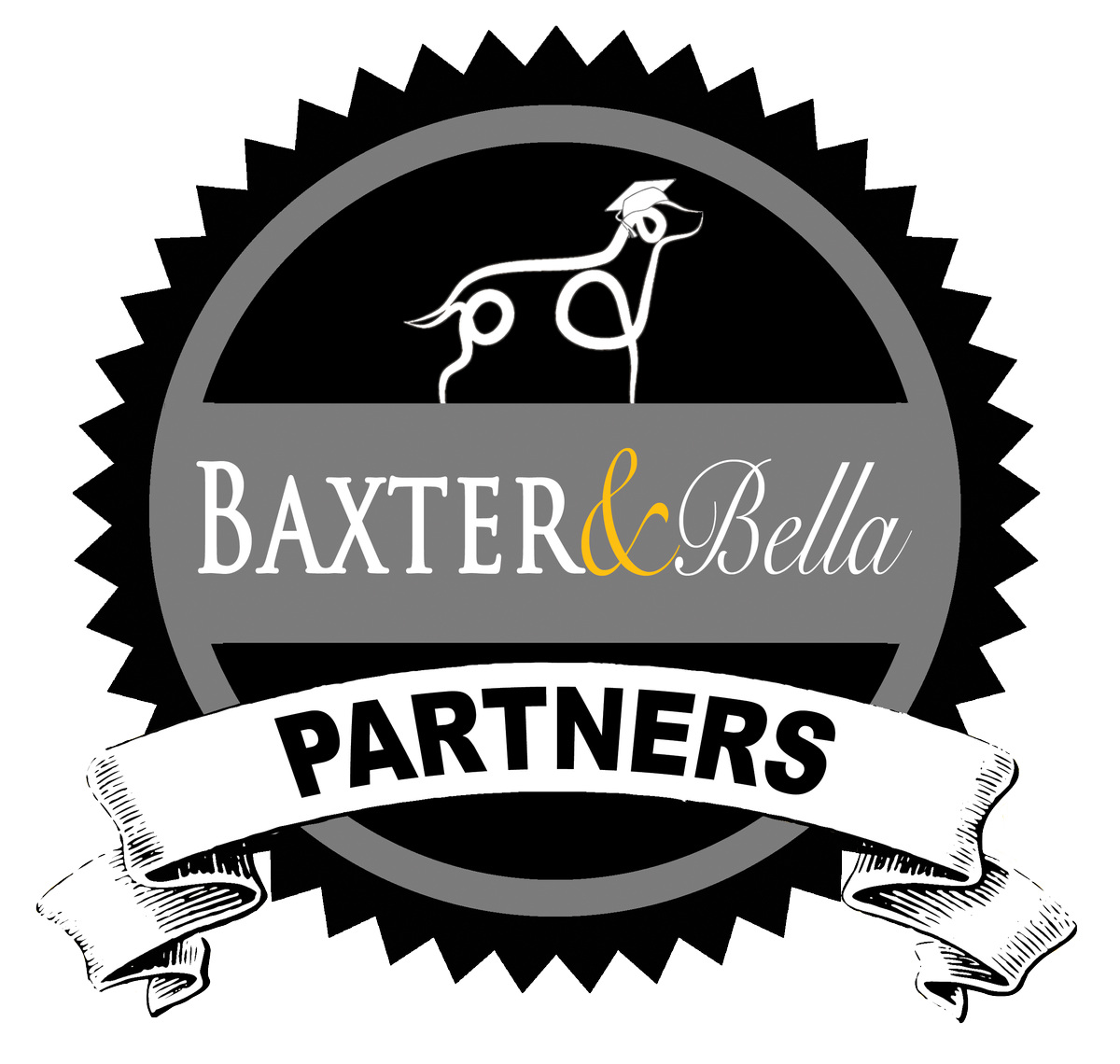 Cavapoo Training BAXTER & Bella